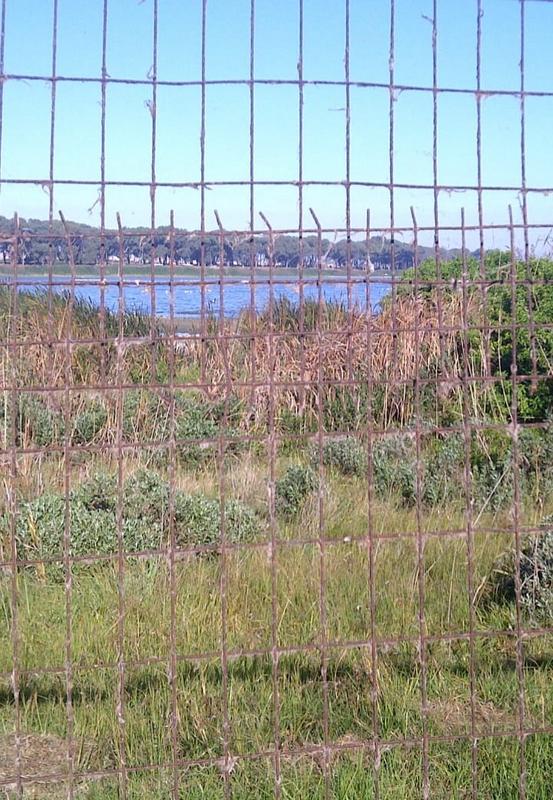 6 Bedroom Property for Sale in Zeekoevlei Western Cape